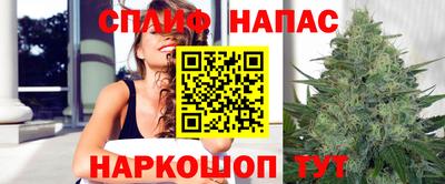 амф Моздок