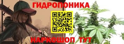 амф Моздок