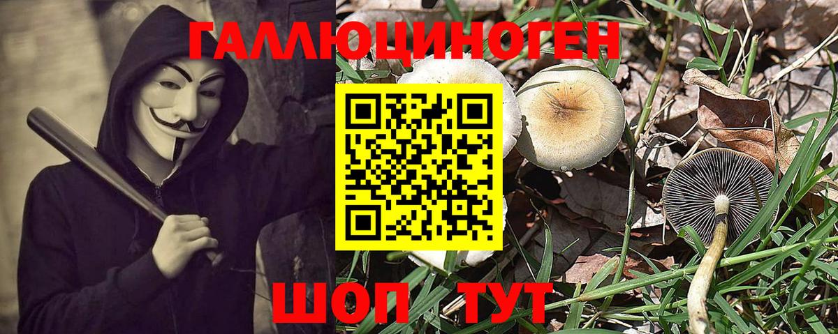 Губаха  Галлюциногенные грибы Magic Shrooms  Вход с VPN 