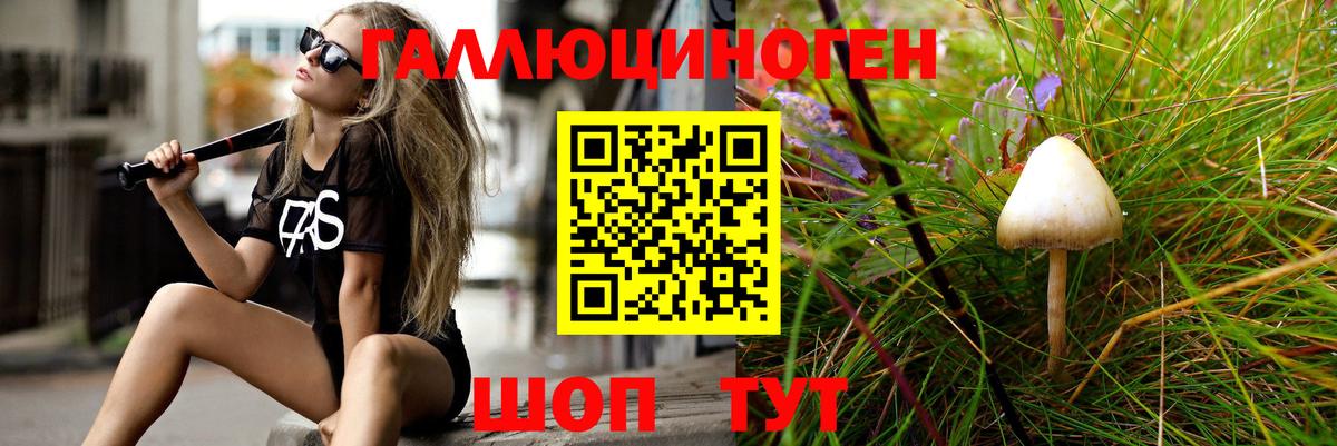 Галлюциногенные грибы GOLDEN TEACHER Губаха